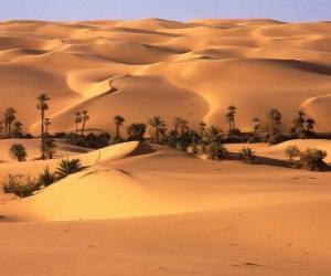 Puzzle Φοινικόδενδρα στους αμμόλοφους της ερήμου